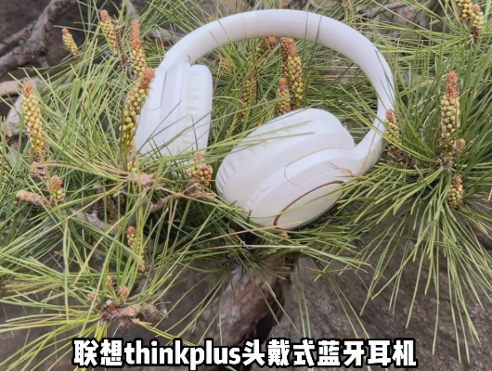 u1dnt66heg3tekzu4th66vvfmh18yi498628.png