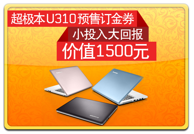 IdeaPad U310-预售订金券图片
