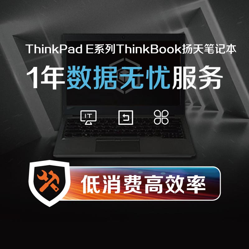 企业购ThinkPad E系列/ThinkBook/扬天笔记本 1年数据无忧服务