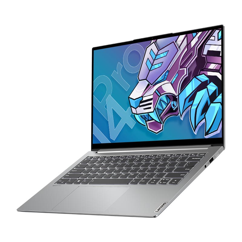 联想小新 Pro14 英特尔Evo平台 超能轻薄本酷睿i5笔记本电脑 亮银图片