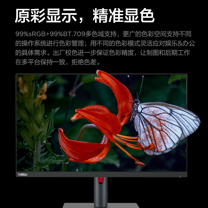 联想/ThinkVision 23.8英寸2K显示器 P24h-30图片