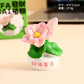 豆瓜创意治愈系发财植物摆件图片