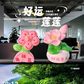 豆瓜创意治愈系发财植物摆件图片