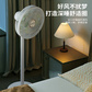 美菱电风扇MPF-DL29356图片