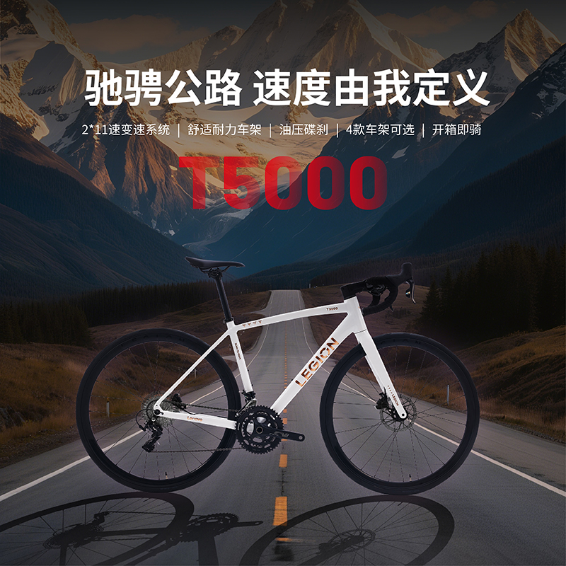 拯救者 公路自行车T5000 碳晶黑 L图片